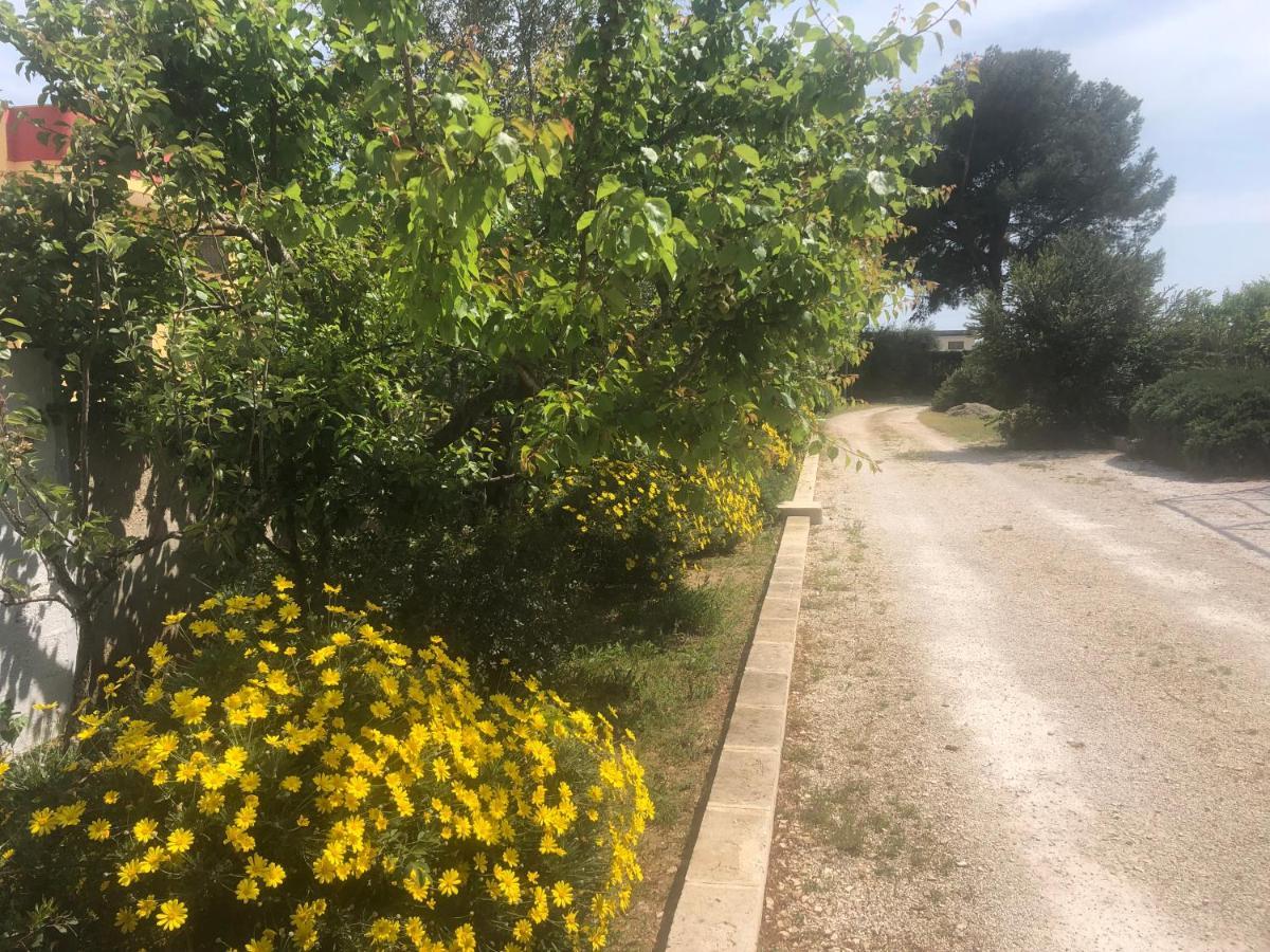 לינה וארוחת בוקר מנדוריה Mazzara Farm מראה חיצוני תמונה