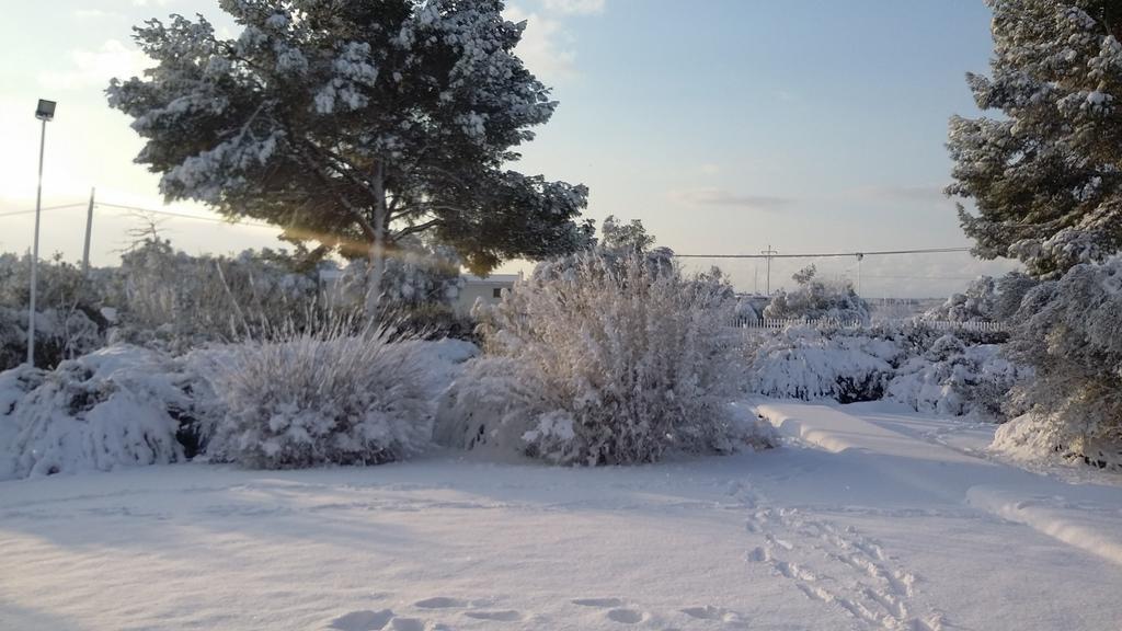 לינה וארוחת בוקר מנדוריה Mazzara Farm מראה חיצוני תמונה
