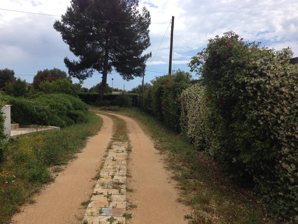 לינה וארוחת בוקר מנדוריה Mazzara Farm מראה חיצוני תמונה